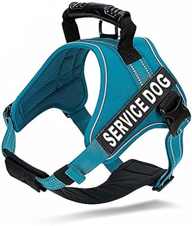 amazon service dog vest