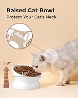 LoeJan Elevated Cat Food Bowl 5 Oz Ceramic Raised Tilted Pet Water Bowl White 4 view 6