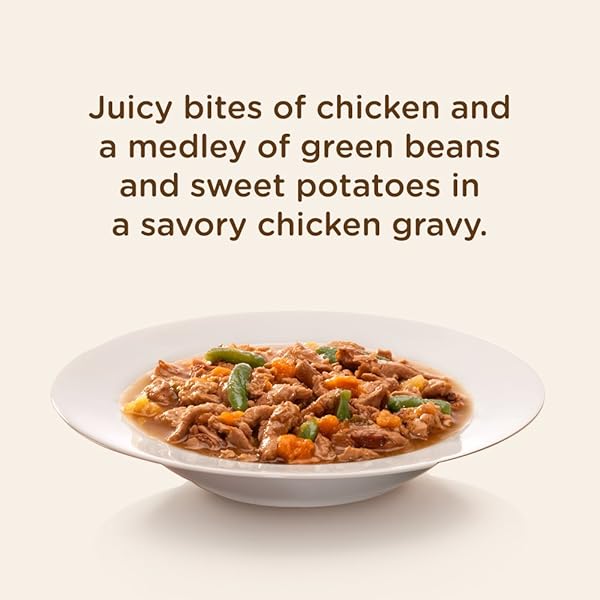 RACHAEL RAY NUTRISH PREMIUM NATURAL WET DOG FOOD, CHICKEN PAW PIE RECIPE, 8 OUNCE TUB