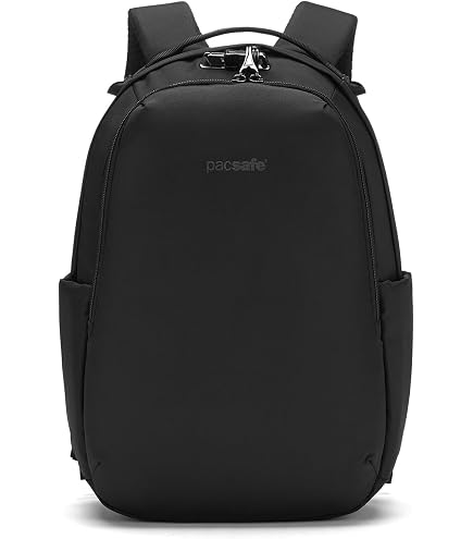 Amazon.com | Pacsafe 85L Backpack and Bag Protector | Casual Daypacks