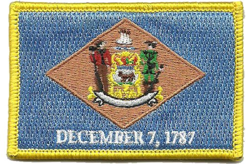 Tactical State Patch - Delaware - Full Color