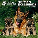 American Kennel Club German Shepherds 2017 Wall Calendar