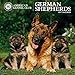 American Kennel Club German Shepherds 2017 Wall Calendar