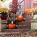 Prextex Halloween Pumpkin Accessories for Best Halloween Pumpkin Décor