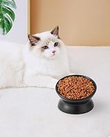 LoeJan Elevated Cat Food Bowl 5 Oz Ceramic Raised Tilted 2 Pack Black view 7