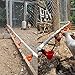 PIVBY Automatic Poultry Waterer Chicken Drinker Cups for Bird Poultry Quail Chicken Hen Pack of 8