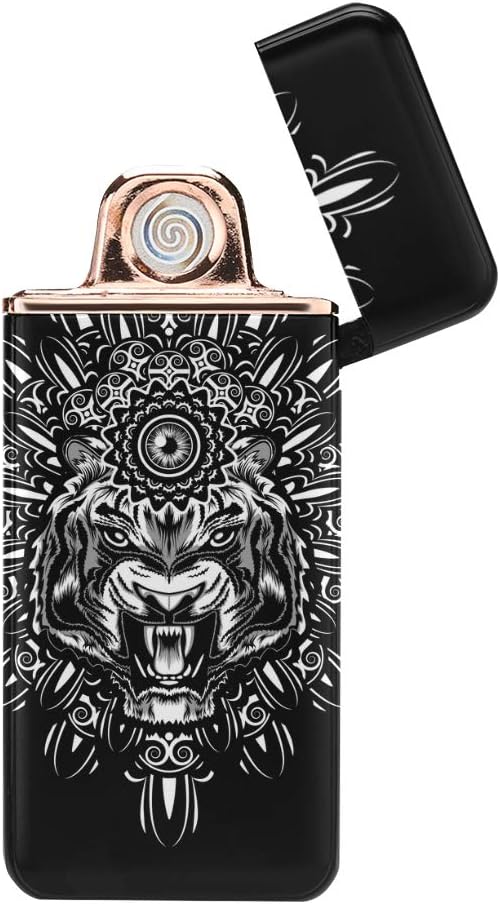 Cigarette Electric Lighter Cool Delicious Sashimi USB