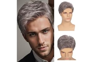 Swiking Men Wigs Short Grey Straight Natural Synthetic Cosplay Hair Wigs for Male Guy Daily Full Wig (Blonde Mix Grey)