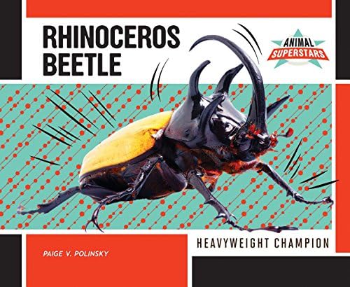 Rhinoceros Beetle: Heavyweight Champion (Animal Superstars)