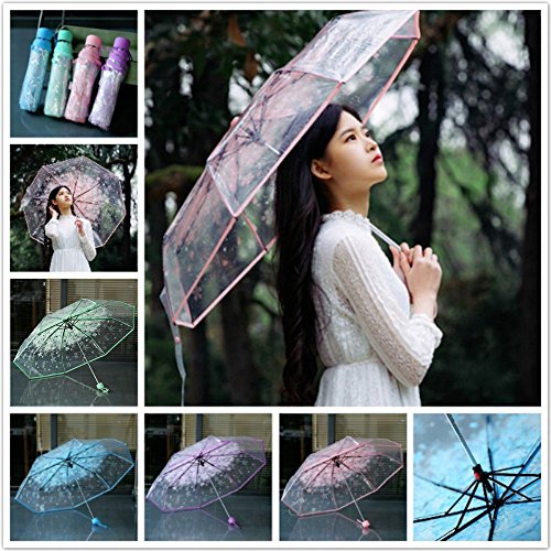 1pc Three Fold Umbrella Women Transparent Clear Cherry Blossom Mushroom Sakura Folding Sunshade Rain Umbrellas by Xiaolanwelc (Green)