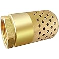 Brass Foot Valve 1 inch NPT Heavy Duty Spring Mesh Check Valve Female Connection One Way Foot Valve Backflow Preventer with Holes Strainer Filter for Well Jet Pumps Foot Valve(1'' NPT)