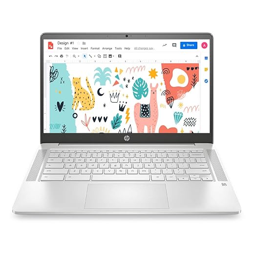 Great Deal HP Chromebook Laptop