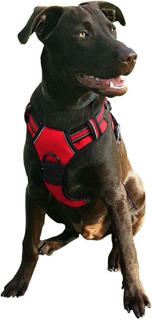 TBM GIYOOMI No Pull Dog Harness, Red, L (Chest: 60-73cm | Neck: 42-68cm)
