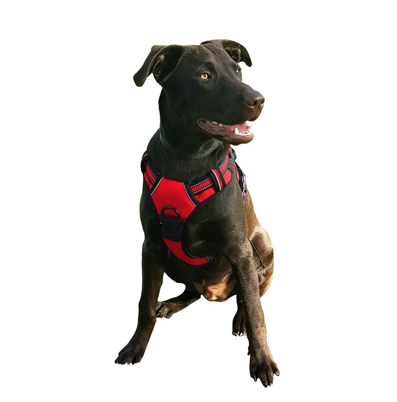 TBM GIYOOMI No Pull Dog Harness|Puppy Harness|Car Harness|Reflective|Front Clip|Black Material|Light Weight Harness Easy Pulling|Padded Adjustable Pet Vest|Dog Harness Large (RED)