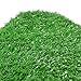 RoundLove Artificial Turf Lawn Fake Grass Indoor Outdoor Landscape Pet Dog Area (24X20 in)