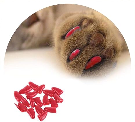 Colorful Soft Non Toxic Pet Cat Claw Covers Dog Paws Nail Caps Protective Nail Covers Pet Accessories Blue S Amazon Ca Pet Supplies