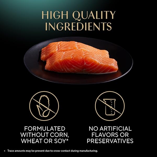 SHEBA PERFECT PORTIONS WET CAT FOOD CUTS IN GRAVY WITH SUSTAINABLE SALMON, 2.6 OZ. TWIN-PACK TRAY