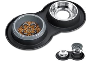 BurgeonNest Slow Feeder Dog Bowls Small Size,13 oz Cat Food Bowls, 4-in-1 Cat Slow Feeder with No-Spill Silicone Feeding Mat, Stainless Steel Anti Vomiting Pet Bowl Set, Perfect for Puppy, Kitten