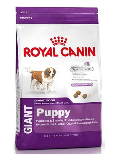 best dry food for saint bernards