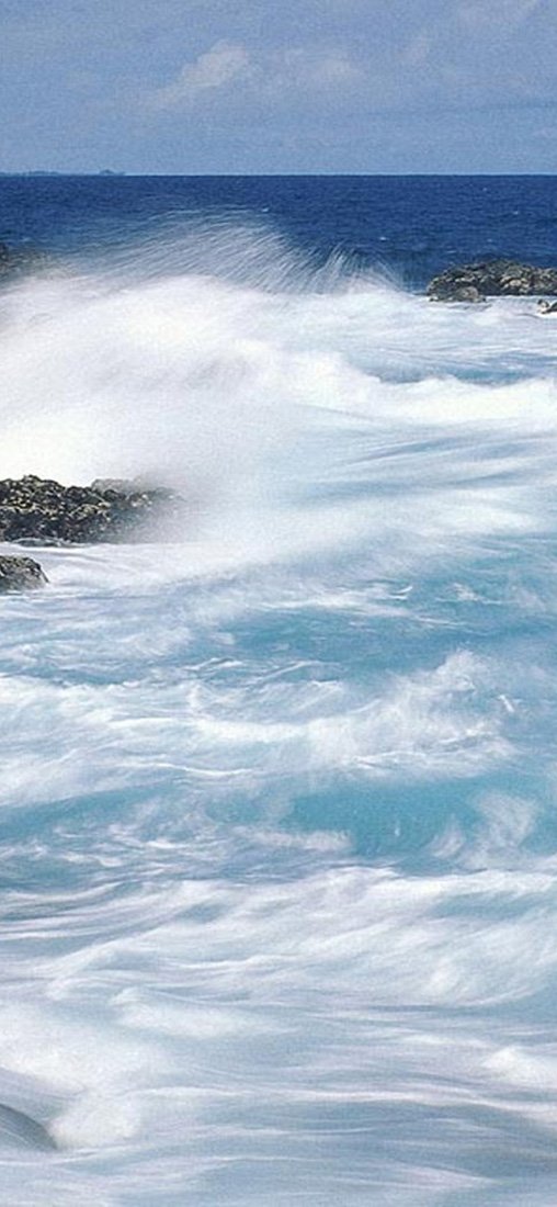 PeelitStickit, Beautiful Nature Wall Murals, ID-3332, vinyl