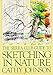 The Sierra Club Guide to Sketching in Nature by Cathy Johnson