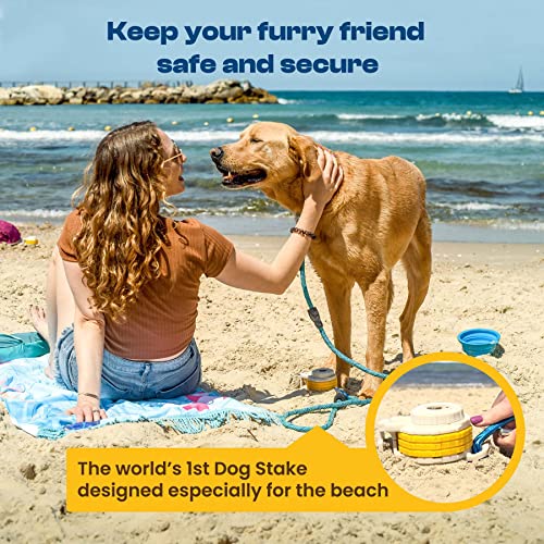 DIGGO Dog Stake Essential Beach Accessory for All Dog Sizes,Unique 360