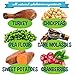 Bodhi Dog Potty Training Dog Treats Grain Free Turkey Jerky Bites | Healthy Reward Made with Turkey, Chickpeas & Molasses | No Corn, Wheat or Soy | Natural & Holistic Treats | Made in USA