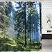 Bathroom Shower Curtain Misty Forest Bathroom Curtain with 12 Hooks, Sunshine Trees Shower Curtains Durable Waterproof Fabric Bath Curtain