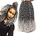 12 Inch Short Passion Twist Hair 6 Bundles Marlybob Kinky Curly Crochet Hair for Black Women Jerry Curly Braiding Hair (6 Bundles 12 Inch, 1B/Gray)