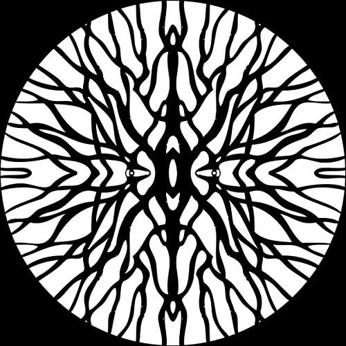 Procyon