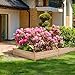 Cyanhope Wooden Raised Garden Bed Kit Elevated Planter Box for Vegetables/Flower/Herb/Fruitsthumb 2