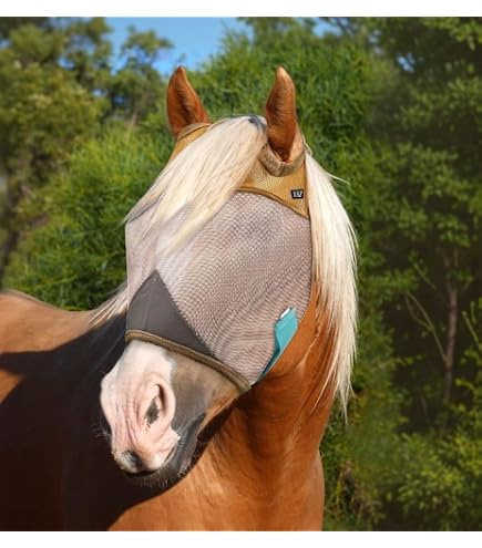 thumbnail image 2 of Kensington Signature Fly Mask With Removable Nose Protects Horses Face | Seychelles 2 of 10
