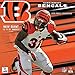 Cincinnati Bengals 2016 Calendar by 