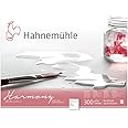 Hahnemuhle Harmony Watercolor Block Cold Pressed 9x12 Inches 12 Sheets