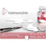Hahnemühle The Collection Watercolor Block - Rough, 14.1 x 18.9, 300