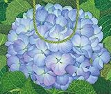Caspari 11-1/2 by 4 by 9-1/2-Inch Gift Bag, Large, Hydrangea