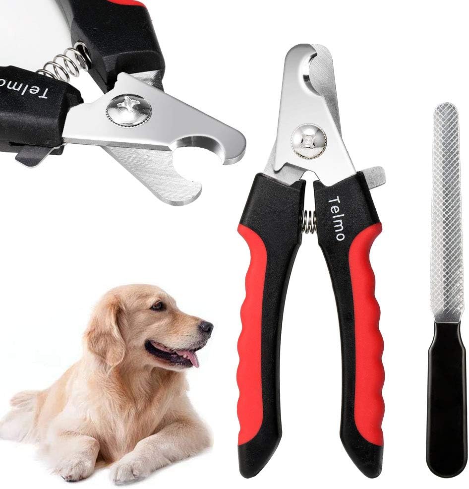 TeImo Professional Dog Nail Clippers and Trimmer with Safety Guard on Razor Sharp Blades and Nail File
