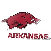 Desert Cactus University of Arkansas Sticker Razorbacks U of A Hogs Vinyl Decal Laptop Water Bottle Car Scrapbook 11x8 Sheet (4 Inch Set V1)