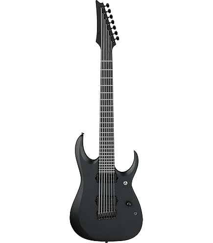 Amazon.com: Schecter PT-7 FR-S SLS Elite Evil Twin 7-string