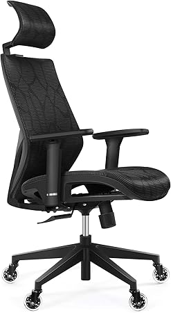 Tribesigns High Back Desk Chair with Lumbar Support