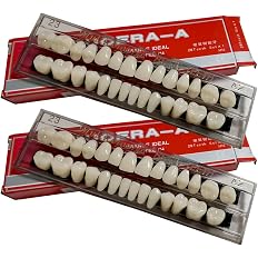 56 Pcs False Teeth Dental Complete Acrylic Resin Denture Teeth, 2 Set Whole Teeth Synthetic Polymer Denture Tooth, 23 Shade A