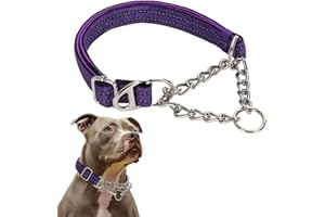 PSPORT Purple Martingale Collar for Dogs, Medium Reflective Nylon Dog Chain Collar Adjustable Heavy Duty Martingale Dog Collar for Small Medium Large Dogs