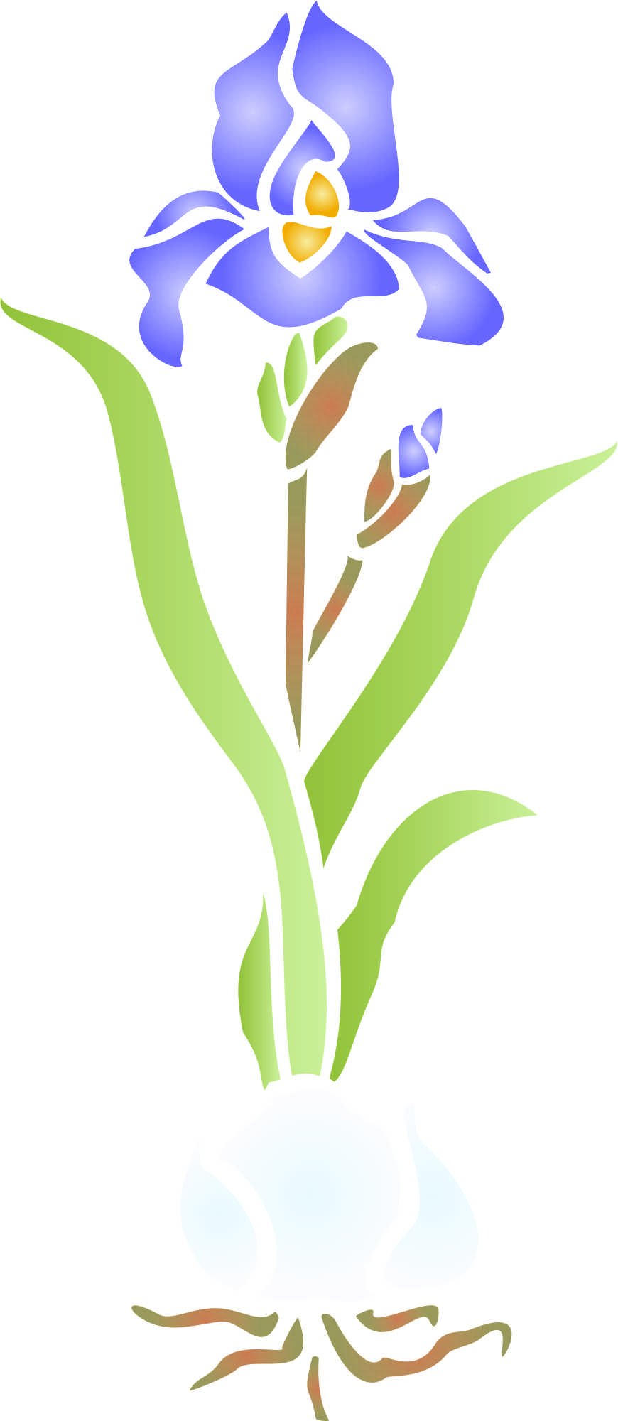 Iris & Bulb Stencil - 11.5 x 26.5cm - Reusable Flora Wall Stencil Template