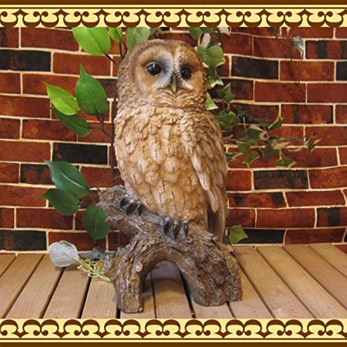 超安い 大きくてリアルなフクロウの置物 ふくろう ｂタイプ オウル