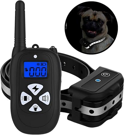 large dog shock collar amazon