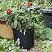 MELONFARM 5-Pack 2 Gallon Grow Bags Heavy Duty Thickened Non-Woven Plant Fabric Pots with Handles
