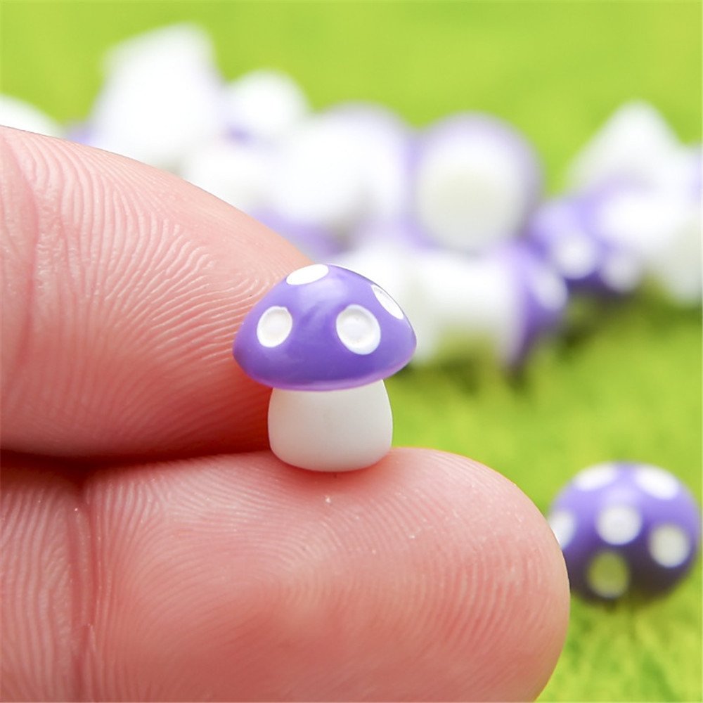 Best Mini Mushrooms For Fairy Garden