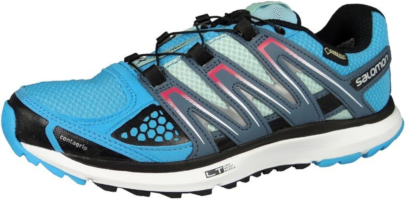 Salomon Gmbh Salomon X Scream Gtx W Da Runni Hellblau Grau Amazon De Schuhe Handtaschen