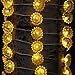 Impress Life Sunflower String Lights with Remote and Battery,Spring Decor 10ft 40LEDs Helianthus Fairy Lights for Garden Patio Balcony Gazebo