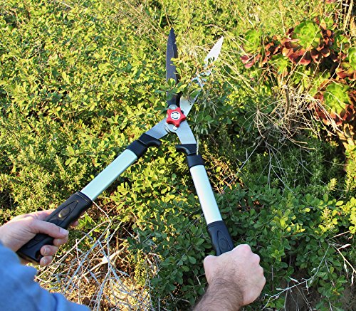 3 TABOR+TOOLS+Trimming+Clippers+Professional